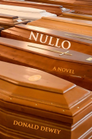 book cover for Nullo