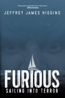 book cover for Furious