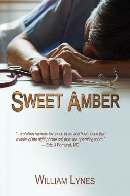 book cover for Sweet Amber