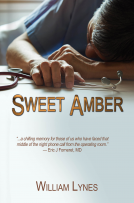 book cover for Sweet Amber