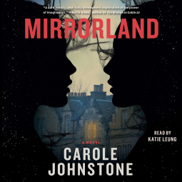 book cover for Mirrorland