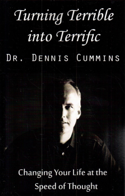 book cover for Turning Terrible into Terrific