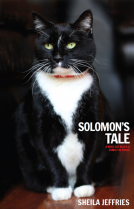 book cover for Solomon's Tale