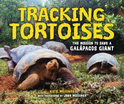 book cover for Tracking Tortoises