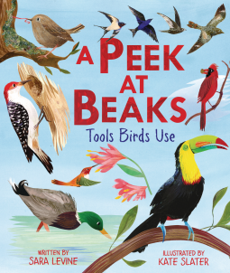 book cover for A Peek at Beaks