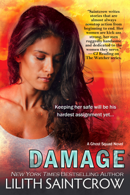 book cover for Damage