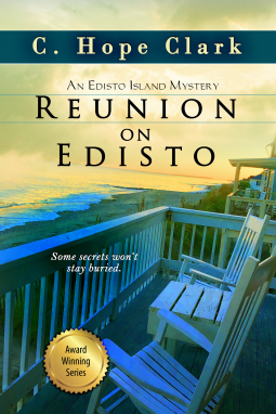 book cover for Reunion on Edisto