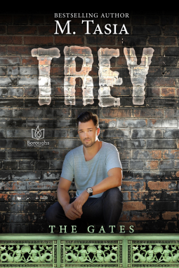 book cover for Trey