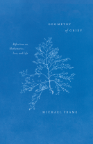 book cover for Geometry of Grief