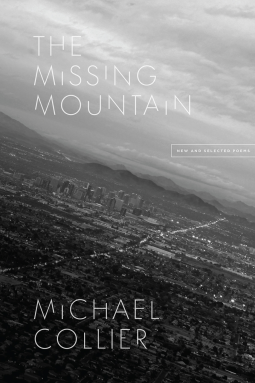 book cover for The Missing Mountain
