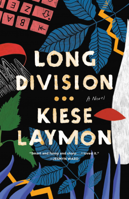 book cover for Long Division
