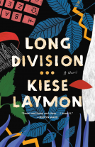 book cover for Long Division