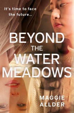 book cover for Beyond the Water Meadows