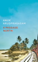 book cover for A Passage North
