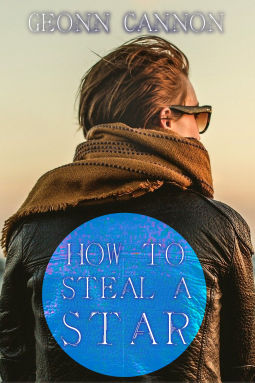 book cover for How to Steal a Star