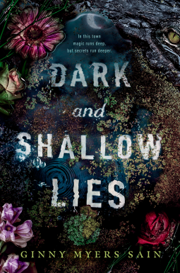 book cover for Dark and Shallow Lies