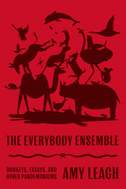 book cover for The Everybody Ensemble