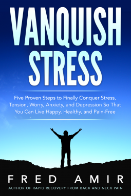 book cover for Vanquish Stress