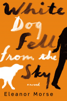 book cover for White Dog Fell from the Sky