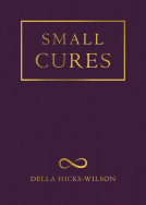 book cover for Small Cures