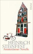 Buchcover für Amsterdamer Novelle