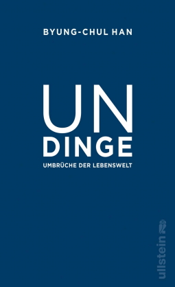 Buchcover für Undinge