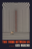 book cover for This Thing Between Us