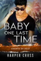 book cover for Baby One Last Time