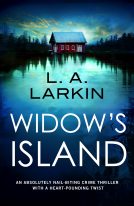 book cover for Widow's Island