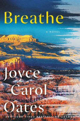 book cover for Breathe