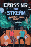 book cover for Crossing the Stream