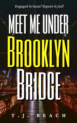 book cover for Meet Me Under Brooklyn Bridge