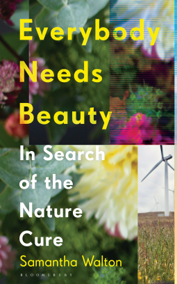 book cover for Everybody Needs Beauty