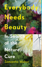 book cover for Everybody Needs Beauty