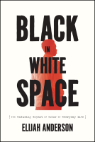 book cover for Black in White Space