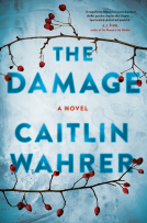 book cover for The Damage