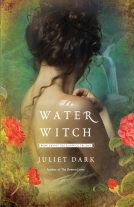 book cover for The Water Witch
