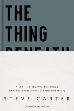book cover for The Thing Beneath the Thing