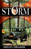 book cover for The Storm