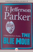 book cover for The Blue Hour