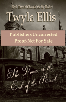 book cover for The Voices at the End of the Road