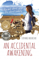 book cover for An Accidental Awakening