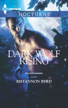 book cover for Dark Wolf Rising