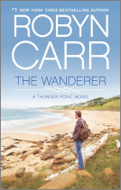 book cover for The Wanderer