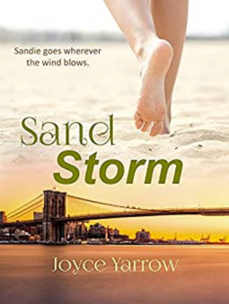 book cover for Sandstorm