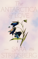 book cover for The Antarctica of Love