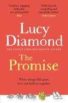 book cover for The Promise