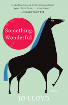 book cover for Something Wonderful