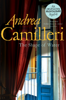 book cover for The Shape of Water