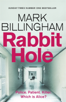 book cover for Rabbit Hole